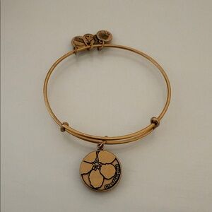 Alex + Ani Granddaughter Bracelet